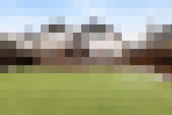 Noordsingel 146 Wezep thumbnail 23