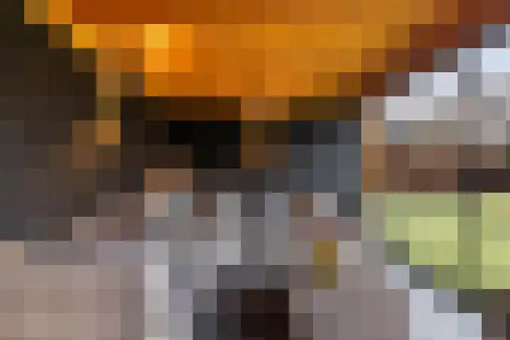 Noordsingel 146 Wezep thumbnail 25