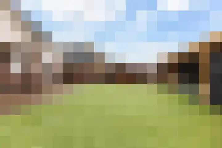 Noordsingel 146 Wezep thumbnail 27