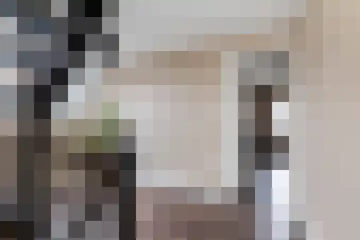 Noordsingel 146 Wezep thumbnail 30