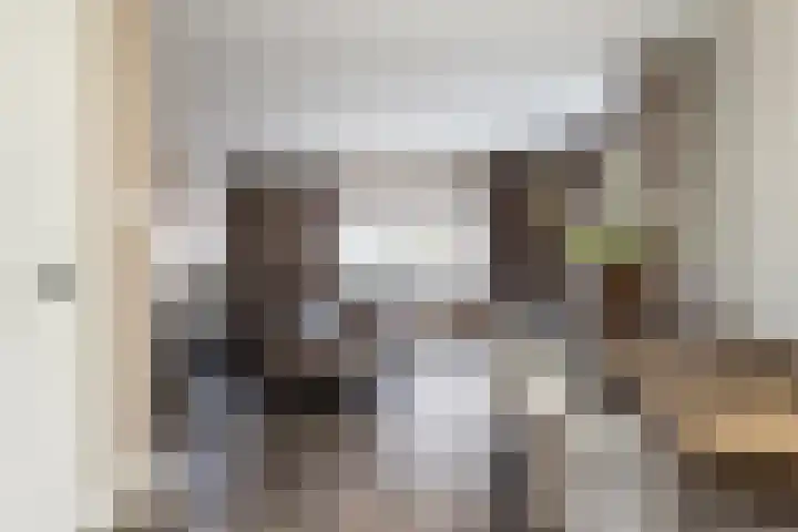 Noordsingel 146 Wezep thumbnail 8