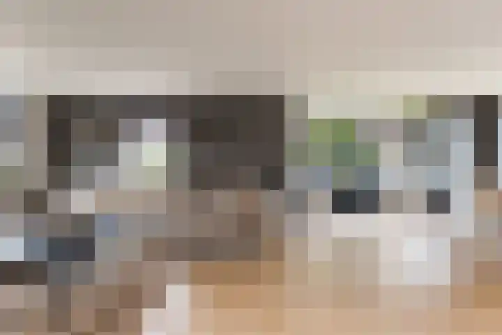 Noordsingel 242 Wezep thumbnail 13