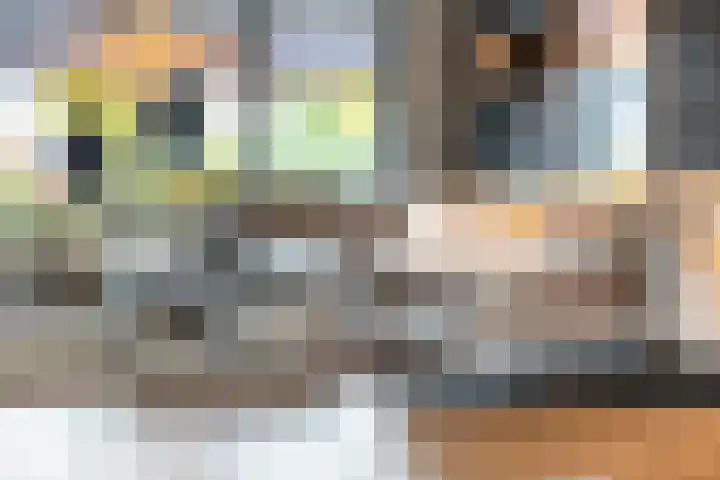 Noordsingel 242 Wezep thumbnail 18