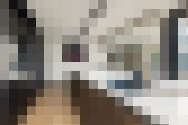 Noordsingel 242 Wezep thumbnail 29