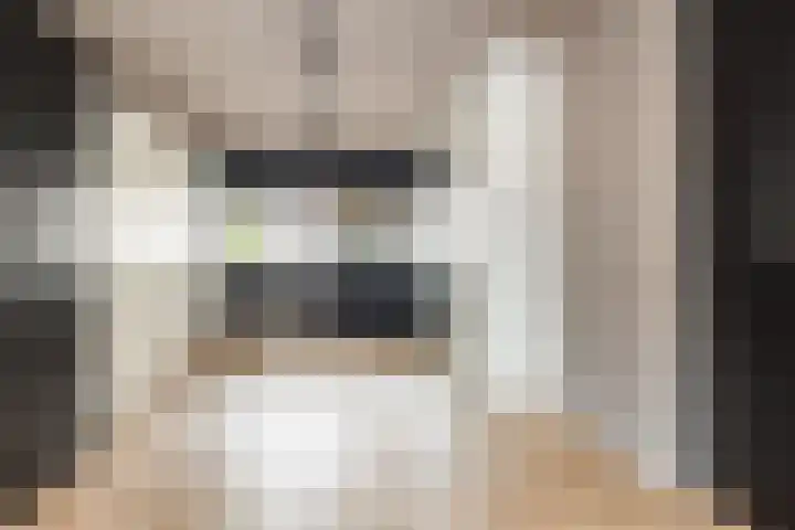 Noordsingel 242 Wezep thumbnail 32