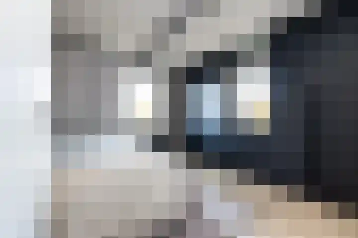 Noordsingel 242 Wezep thumbnail 37