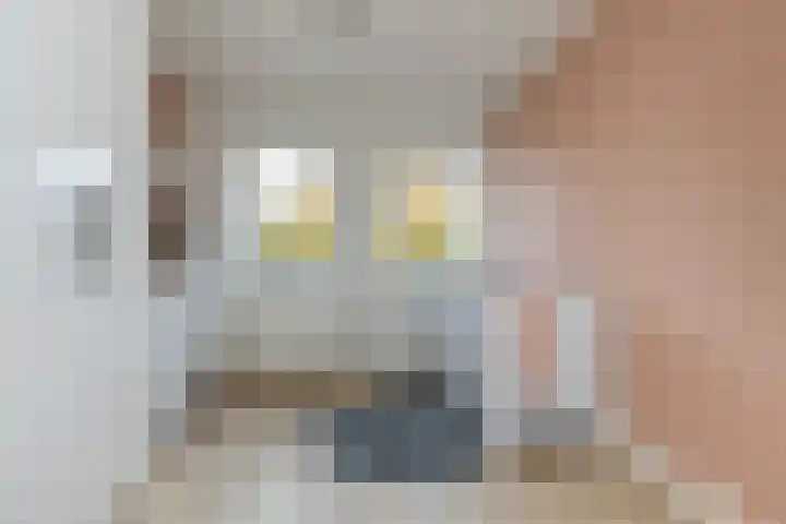 Noordsingel 242 Wezep thumbnail 41