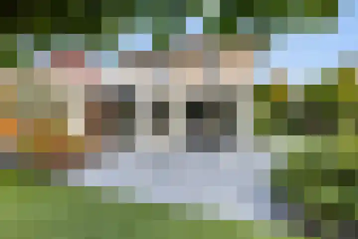 Noordsingel 242 Wezep thumbnail 48