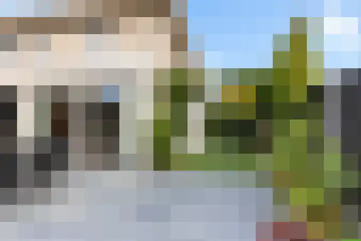 Noordsingel 242 Wezep thumbnail 49