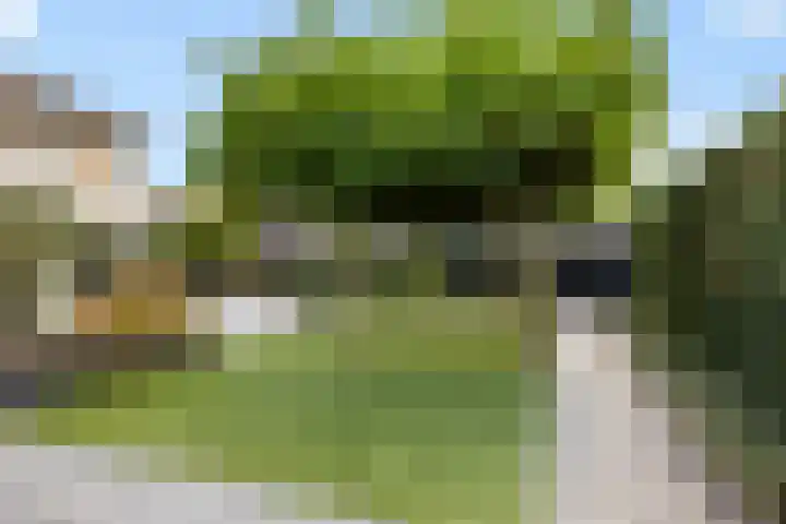 Noordsingel 242 Wezep thumbnail 52