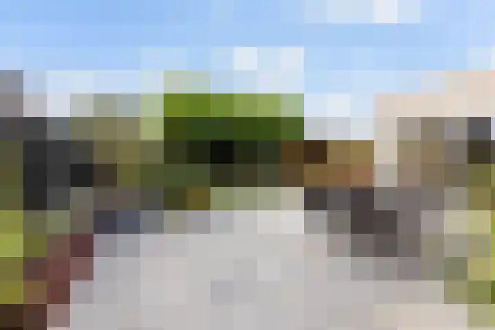 Noordsingel 242 Wezep thumbnail 53