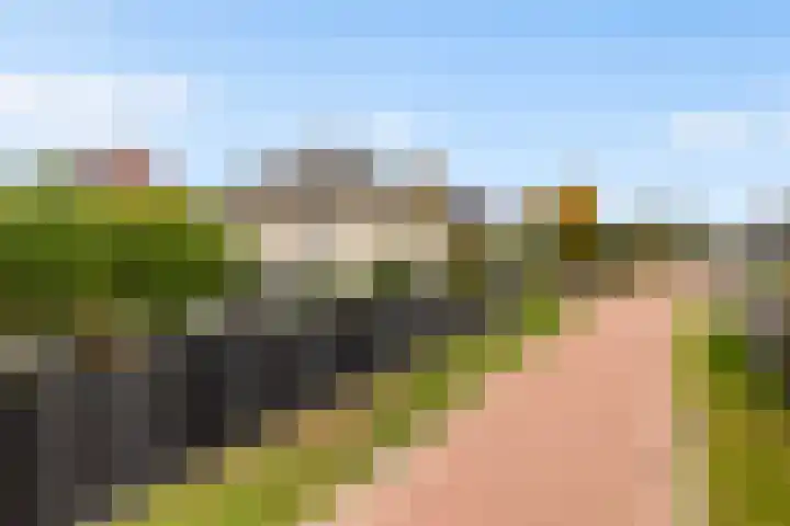 Noordsingel 242 Wezep thumbnail 56