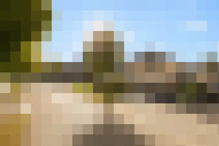 Noordsingel 242 Wezep thumbnail 58