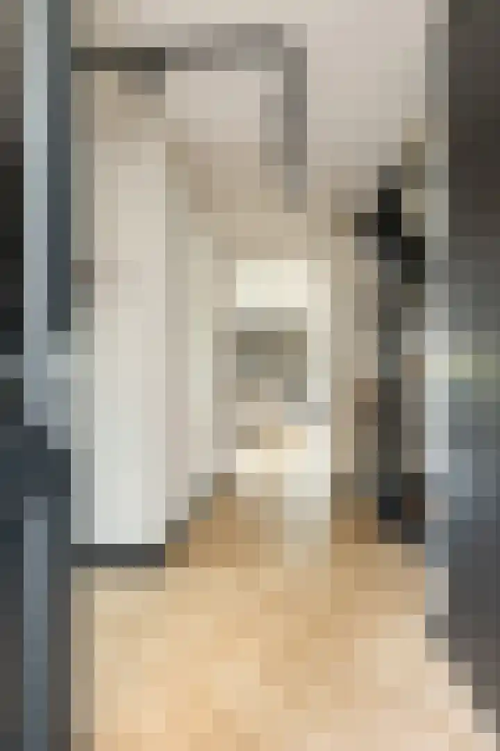 Noordsingel 242 Wezep thumbnail 8