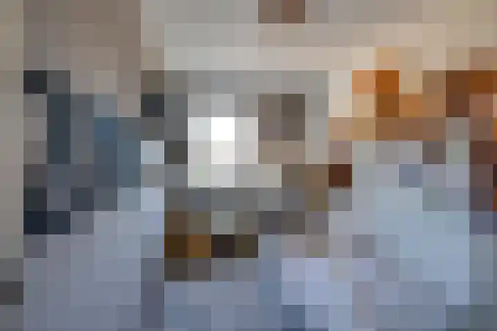 Noordsingel 64 Sprundel thumbnail 20