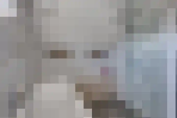 Noordsingel 64 Sprundel thumbnail 27