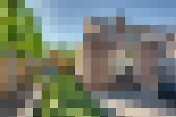 Noordsingel 64 Sprundel thumbnail 37
