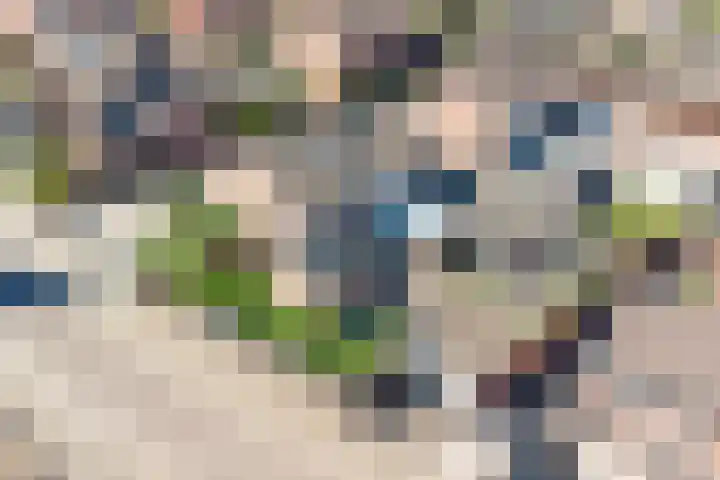 Noordsingel 64 Sprundel thumbnail 39
