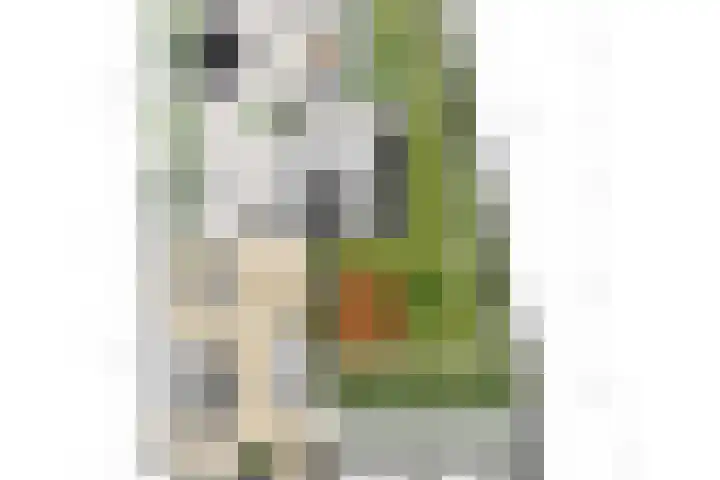 Noordsingel 64 Sprundel thumbnail 48