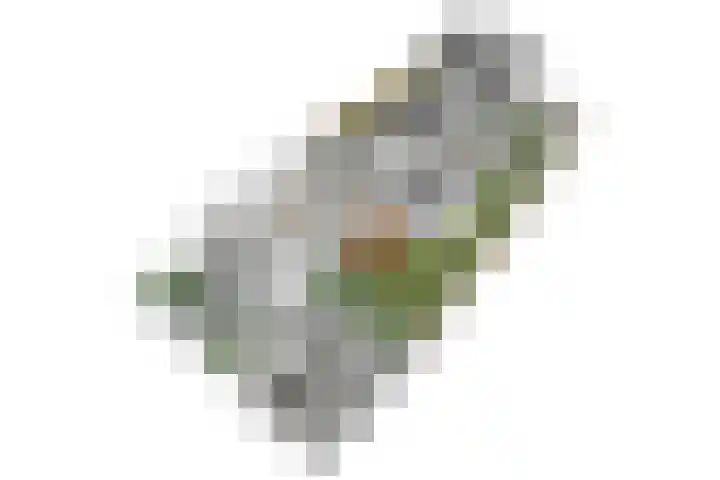 Noordsingel 64 Sprundel thumbnail 49