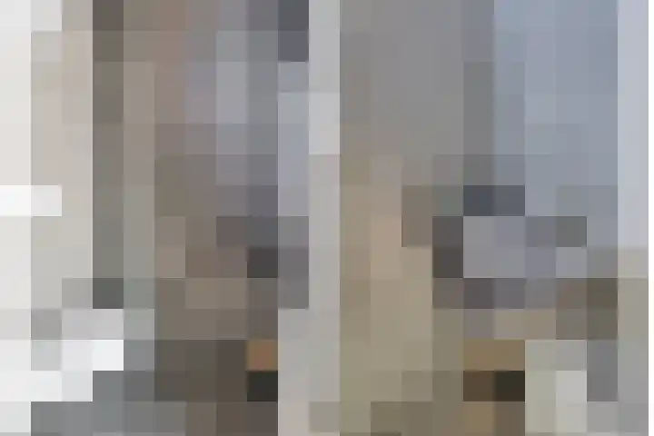 Noordsingel 64 Sprundel thumbnail 7