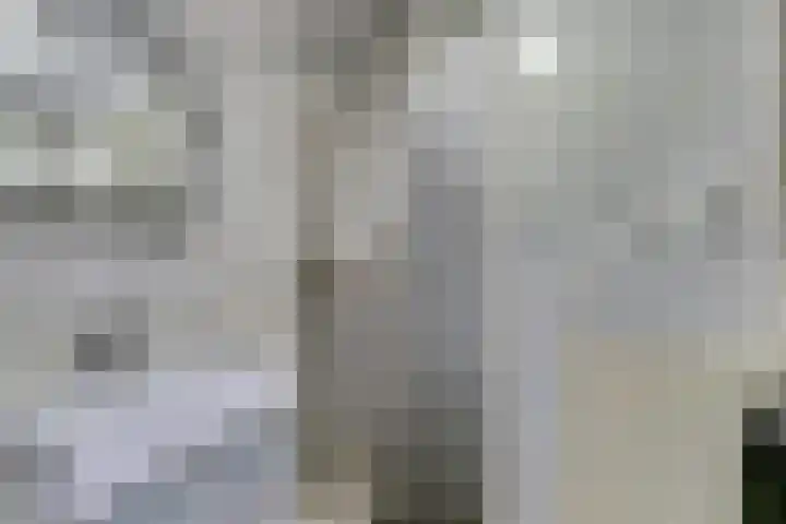 Noordwal 43 Leerdam thumbnail 12