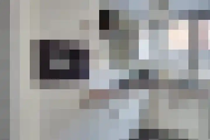 Noordwal 43 Leerdam thumbnail 8