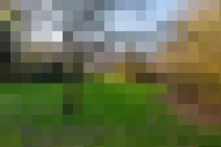 Noordwal 53 Leerdam thumbnail 21