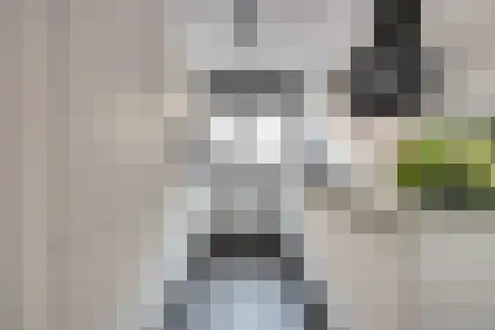 Noordwal 57 a Leerdam thumbnail 12