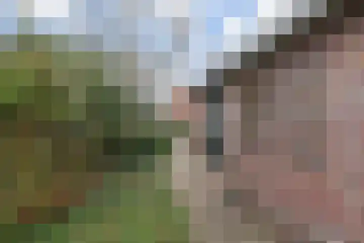 Noordweg 102 Pijnacker thumbnail 32