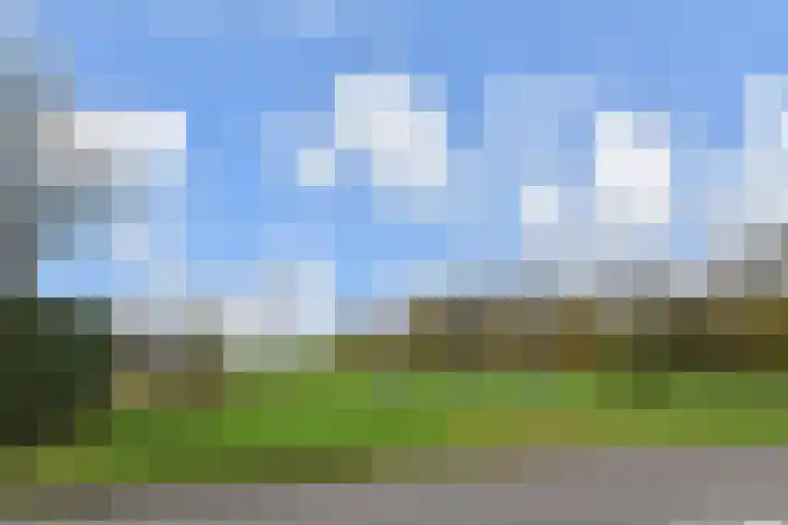 Noordweg 102 Pijnacker thumbnail 35