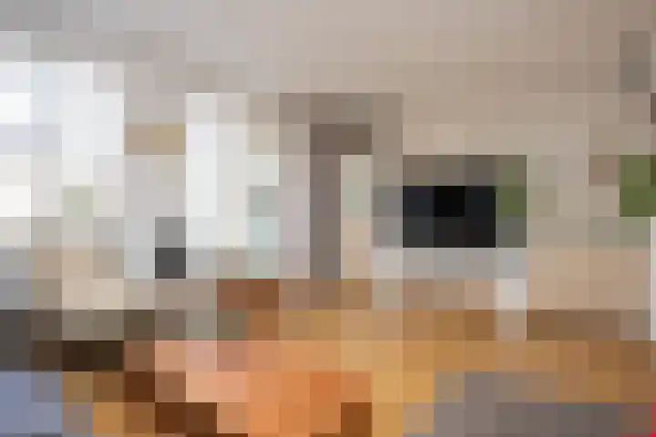 Noordwester 88 Den Burg thumbnail 11
