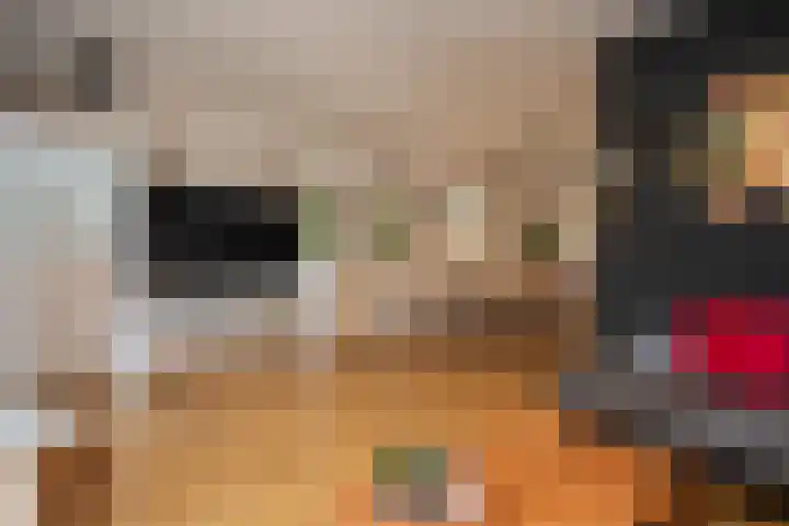 Noordwester 88 Den Burg thumbnail 14