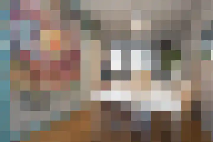 Noordwester 88 Den Burg thumbnail 17