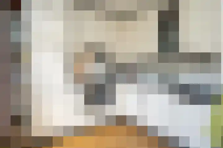 Noordwester 88 Den Burg thumbnail 18