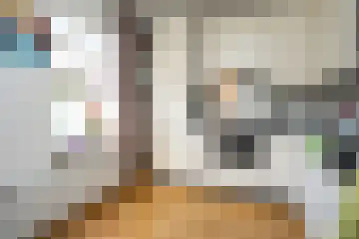 Noordwester 88 Den Burg thumbnail 19