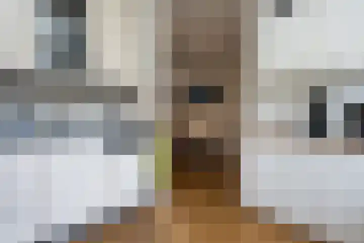 Noordwester 88 Den Burg thumbnail 20