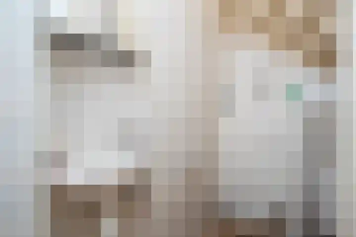 Noordwester 88 Den Burg thumbnail 26