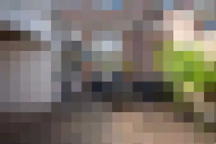 Noordwester 88 Den Burg thumbnail 53