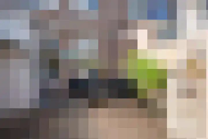 Noordwester 88 Den Burg thumbnail 54
