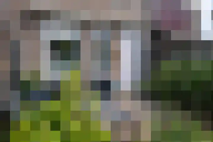 Noordwester 88 Den Burg thumbnail 7