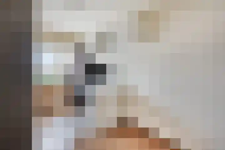 Noordzicht 19 Abbekerk thumbnail 20