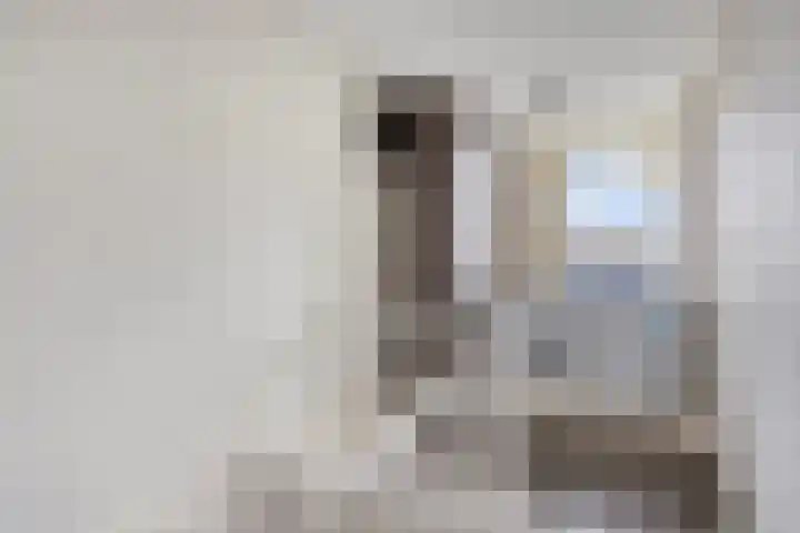 Noordzicht 19 Abbekerk thumbnail 23