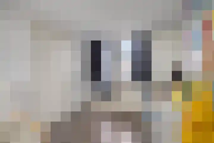 Noordzicht 19 Abbekerk thumbnail 25