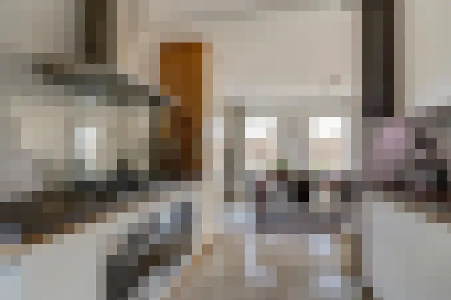 Noordzijde 39 Bodegraven thumbnail 17