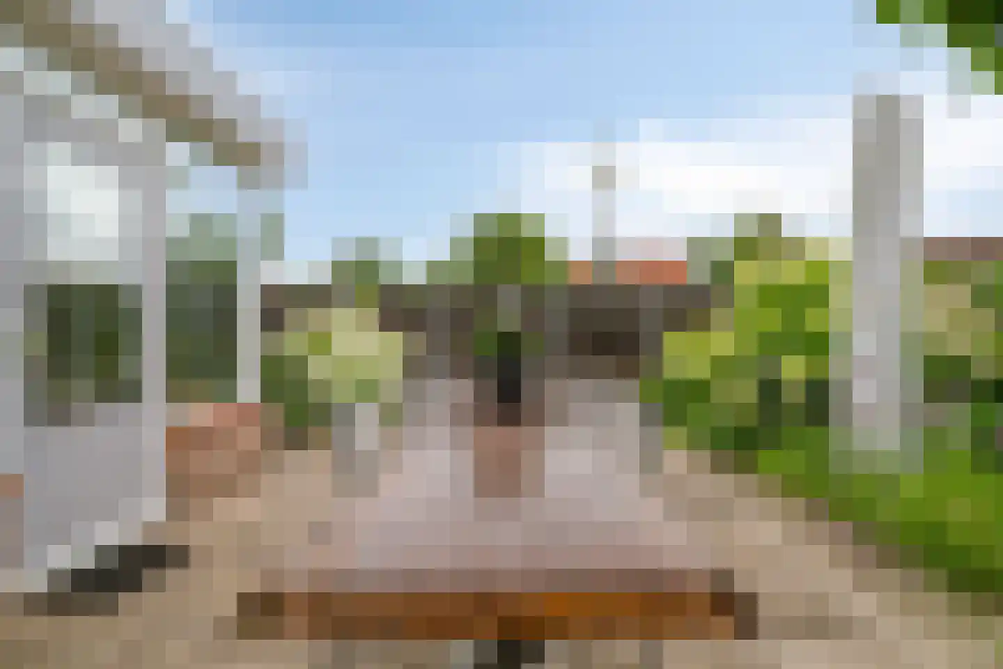 Noordzijde 39 Bodegraven thumbnail 26