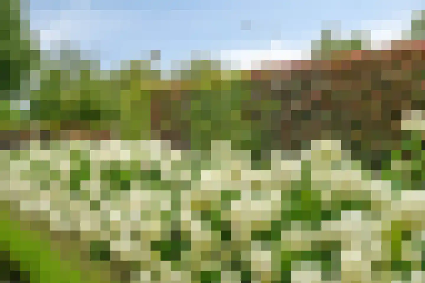 Noordzijde 39 Bodegraven thumbnail 28