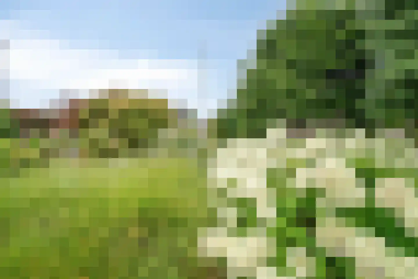 Noordzijde 39 Bodegraven thumbnail 29