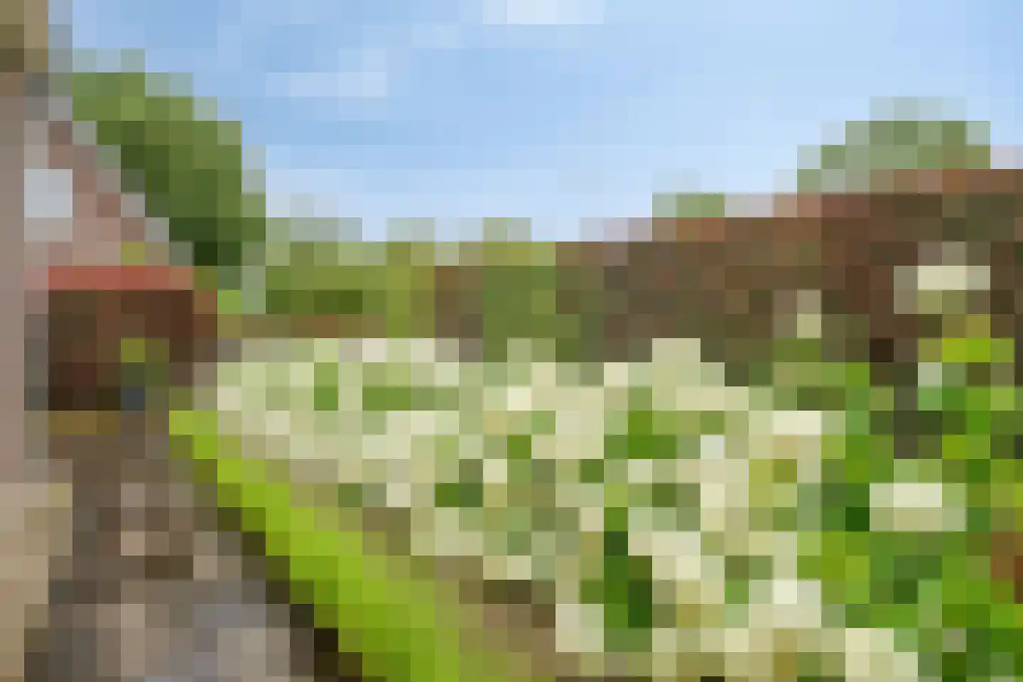 Noordzijde 39 Bodegraven thumbnail 30