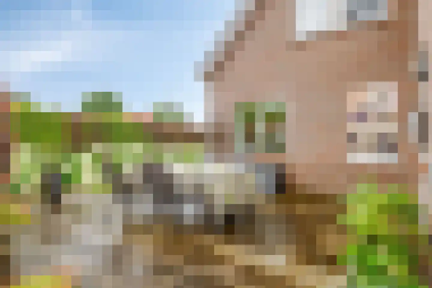 Noordzijde 39 Bodegraven thumbnail 31